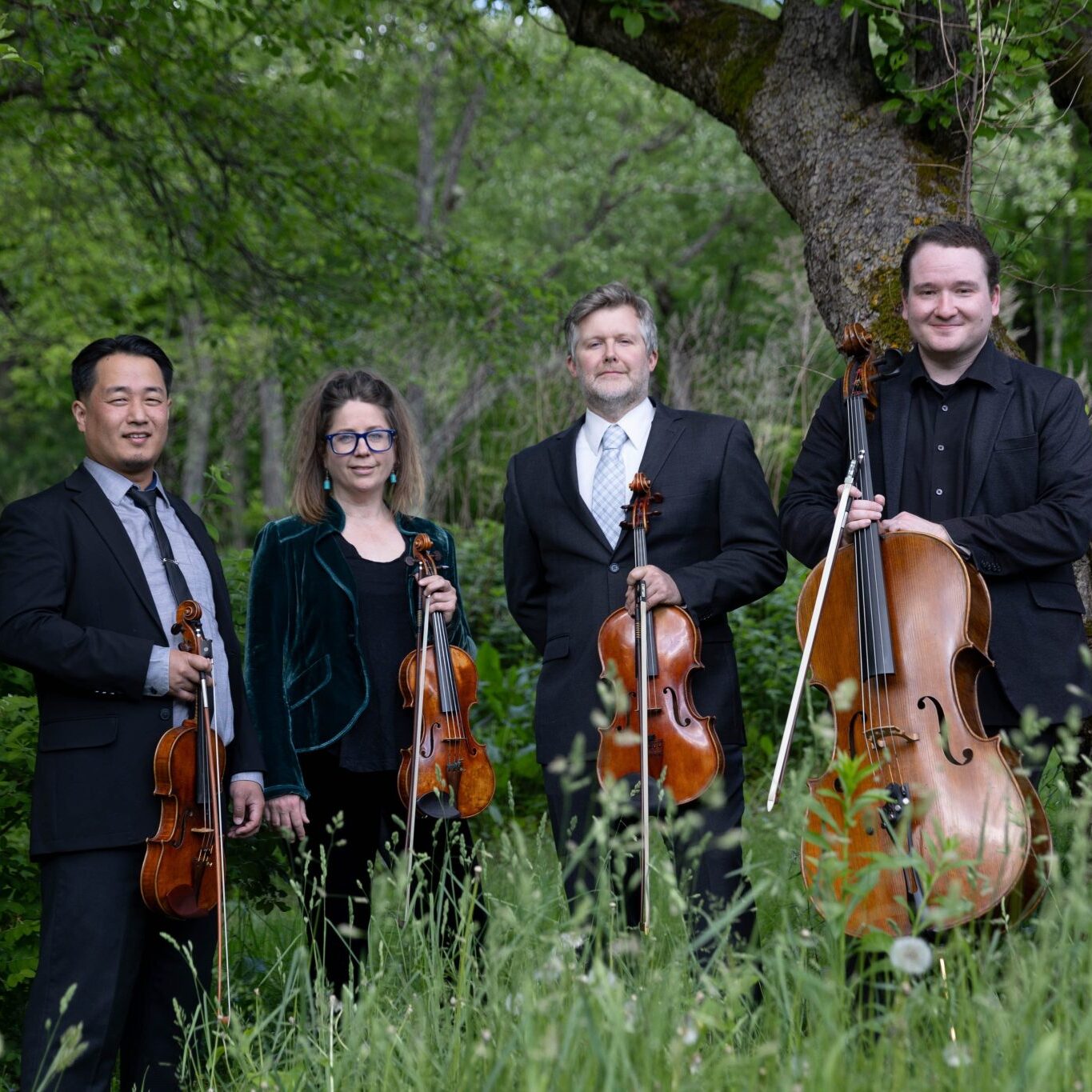 Apple Hill String Quartet Concert - logo